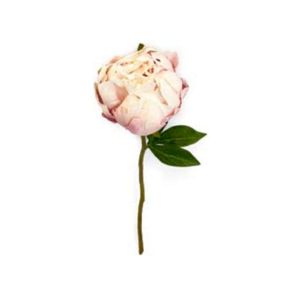 Toolhome Blossoms - Closed Peony - Light Pink (Pack of 6 Stems) - 30cm