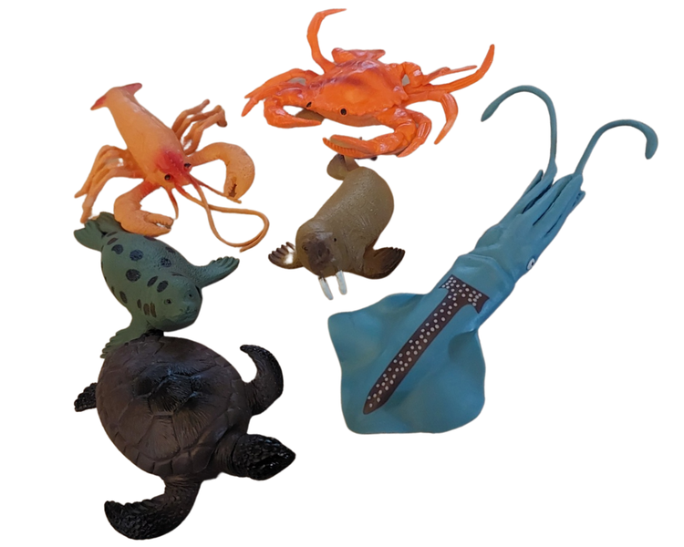 Ocean life Animal Explorer 6 Pack