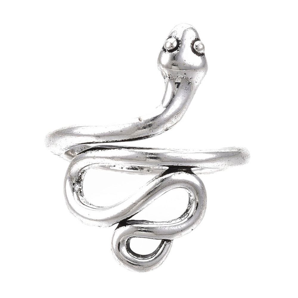 Thin Snake Ring | Shop Today. Get it Tomorrow! | takealot.com