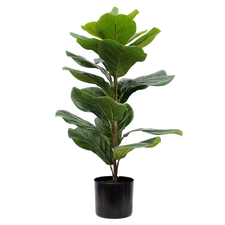 Artificial Ficus Iyrata Indoor And Outdoor Pot Plant | Shop Today. Get ...