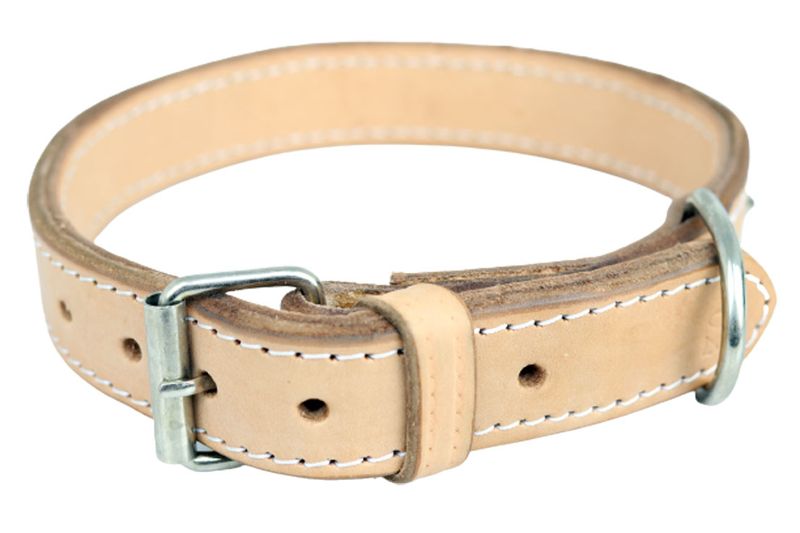 Pit Bull Leather Double Reinforced Dog Collar #30 34mm x 81cm