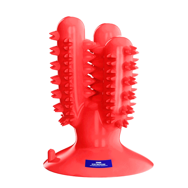 The Petroom - Dog Toothbrush - Dental Chew Toys for Dogs - Cactus Themed