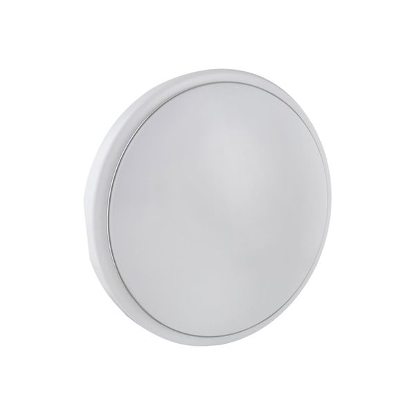 Eurolux - LED Ceiling Light Power 24W Silver Ring 4000K