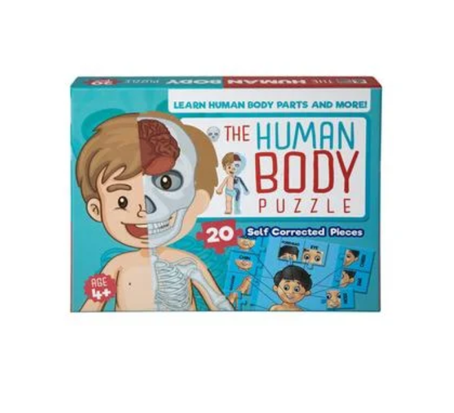 Kids Fun Toys- 24 piece Human Body 24 Piece puzzle