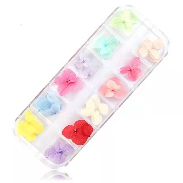12 Grid Dry Flower Nail Art