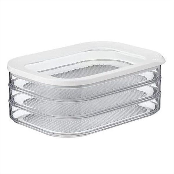 1.6L with 3 Tier Meat Pieces Storage Box Airtight Lid