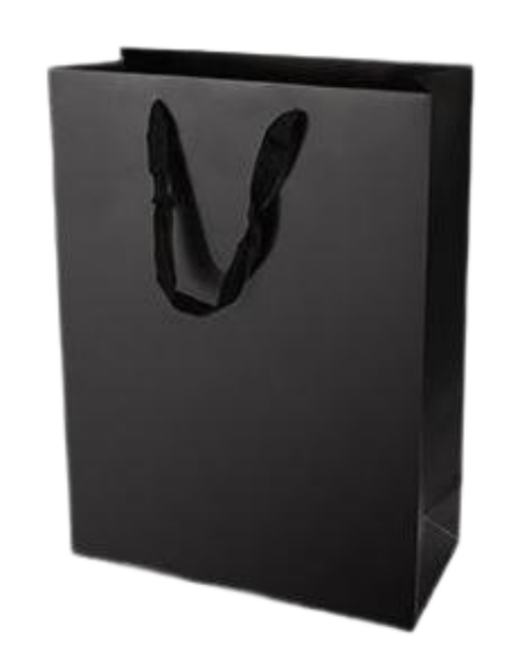 Premium Paper Gift Bags (12 Pack) -S(15*6*20CM)