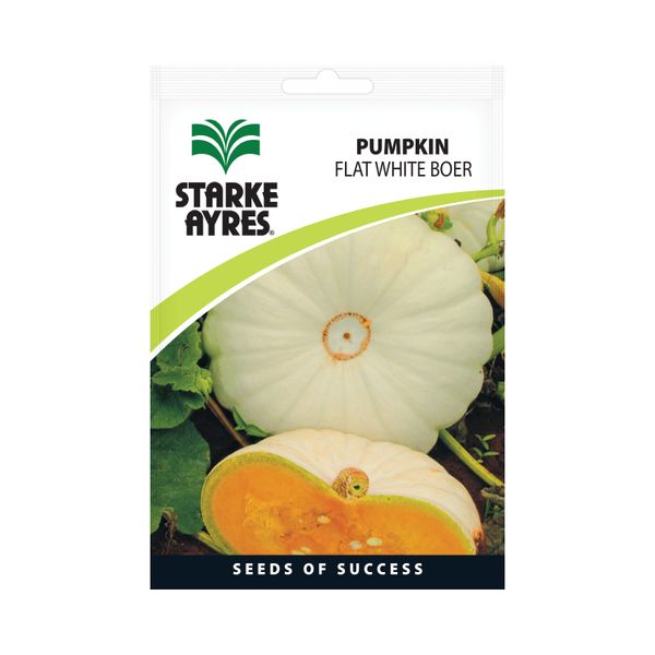 Starke Ayres Pumpkin Flat White Boer