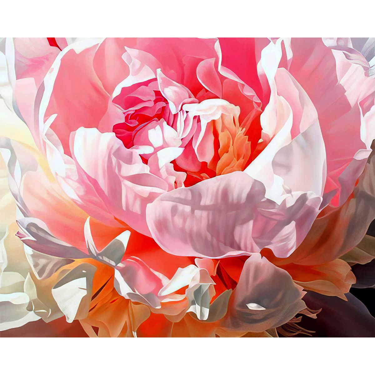 Paint by numbers diy 40cmx50cm frame flower peony pink white shop