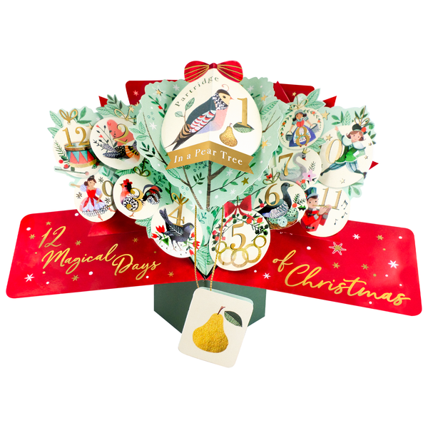12 Days of Christmas 3D Pop Up Greeting Card