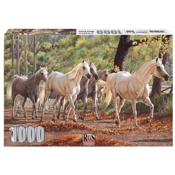 RGS Group Run Free 1000 piece jigsaw puzzle