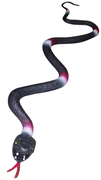 Black Pretend Snake
