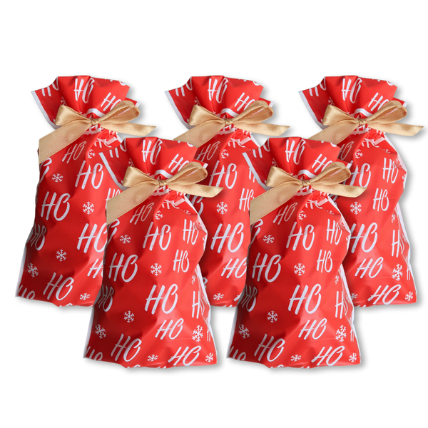 5pcs Christmas Gift Bags with Gold Drawstring Red Santa HoHoHo