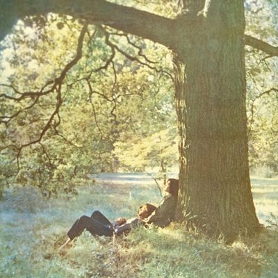 Plastic Ono Band (Vinyl / 12" Album)