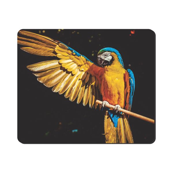 Mouse Pad - Orange Macaw