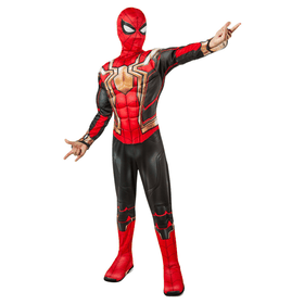 Spiderman Iron Spider No Way Home Deluxe Outift | Shop Today. Get it ...