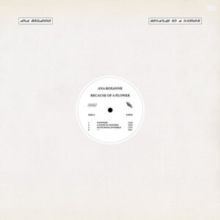 Because of a Flower (Vinyl / 12" Album)