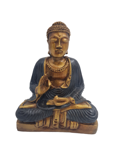 Resin Buddha Protection - (20cm)