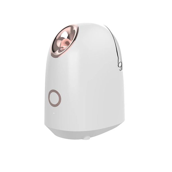 Spray Compact And Portable Facial Moisturizing Beauty Facial Steamer
