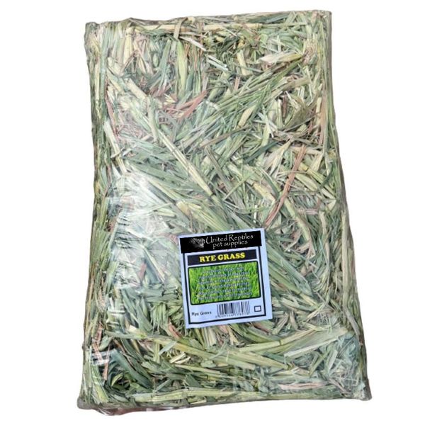 Rye Grass Bedding / Treat for Rabbits / Bunnies