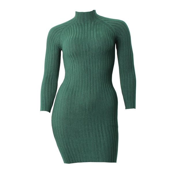 Rib Knit Polo-Neck Dress