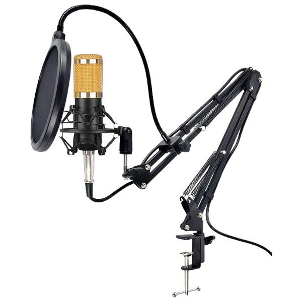 BM800 - Wired Condenser Microphone With Adjustable Arm Stand - Black &amp; Gold