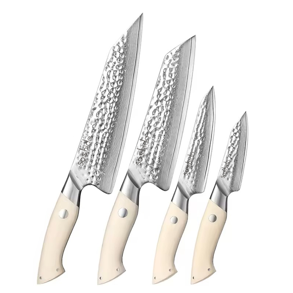 Soshida Masshiro 4 Piece Damascus Chef Knife Set