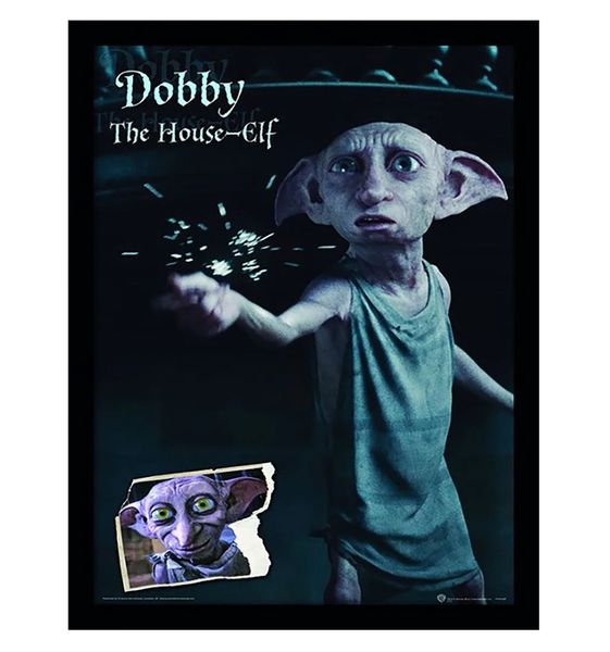 Harry Potter (Dobby) Framed Collector Print 40cm x 30cm