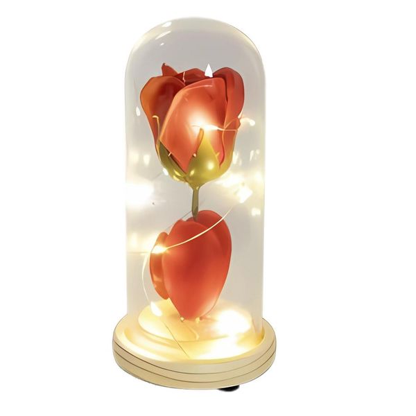 Orn Occasion Love Forever Dome - Battery-Operated, (Rose)