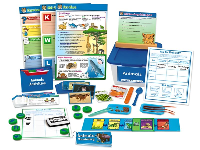 Animals Activity Tub