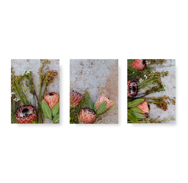 CapeArt Birch Block 3 Piece Collage Pink Protea