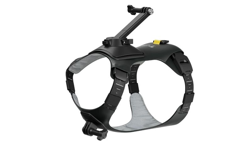 Insta360 Pet Harness Mount Size M