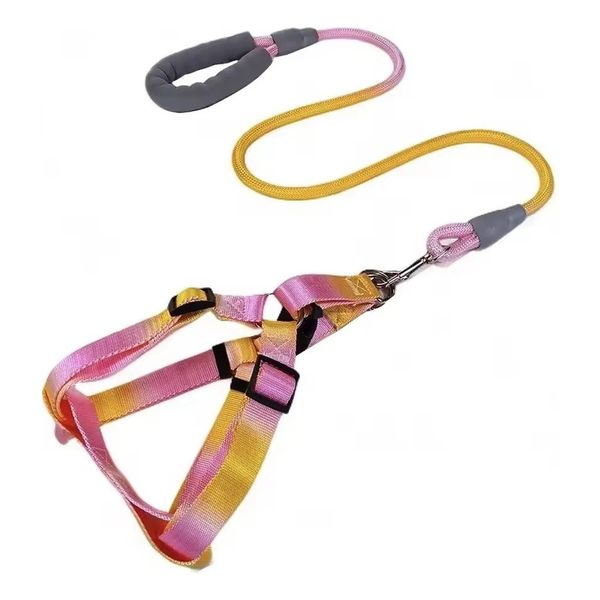 Medium Dog Harness Full Chest Support Comfortable Handle No Pull Leash Set