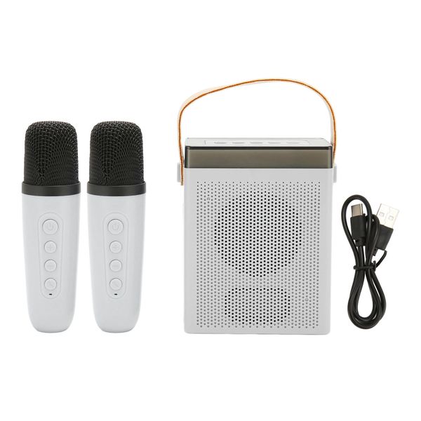 Karaoke Machine Portable Bluetooth Speaker with 2 Wireless MicrophonesWhite