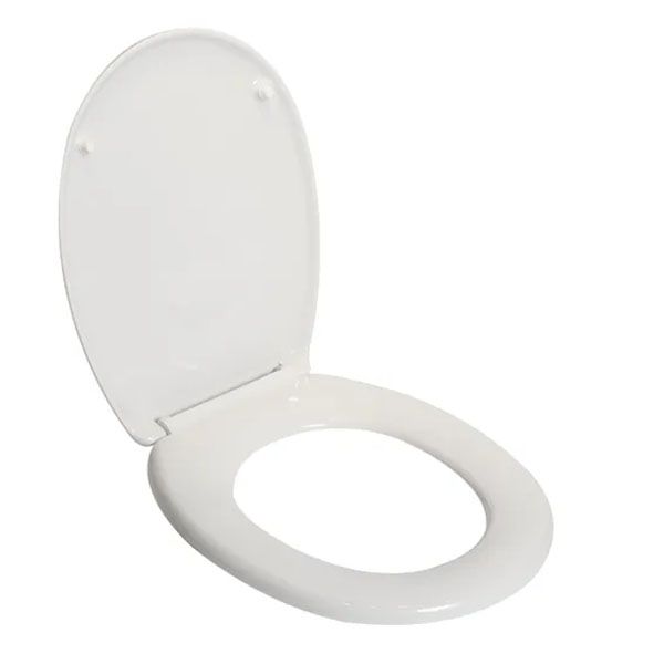Plastic Toilet Seat