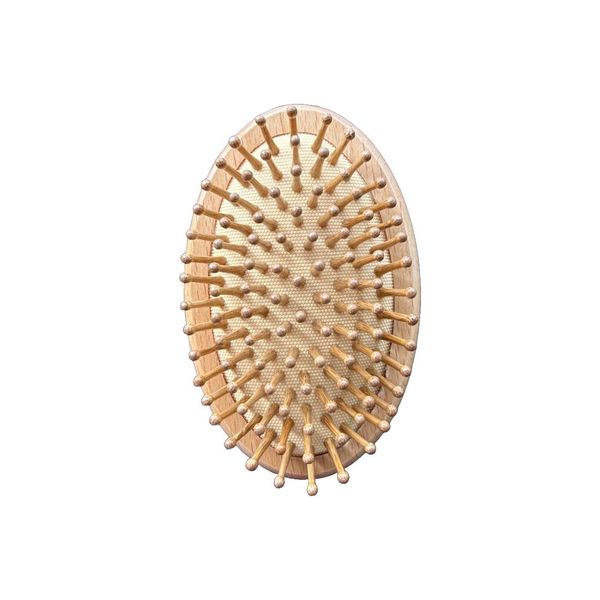 Bamboo Travel Brush
