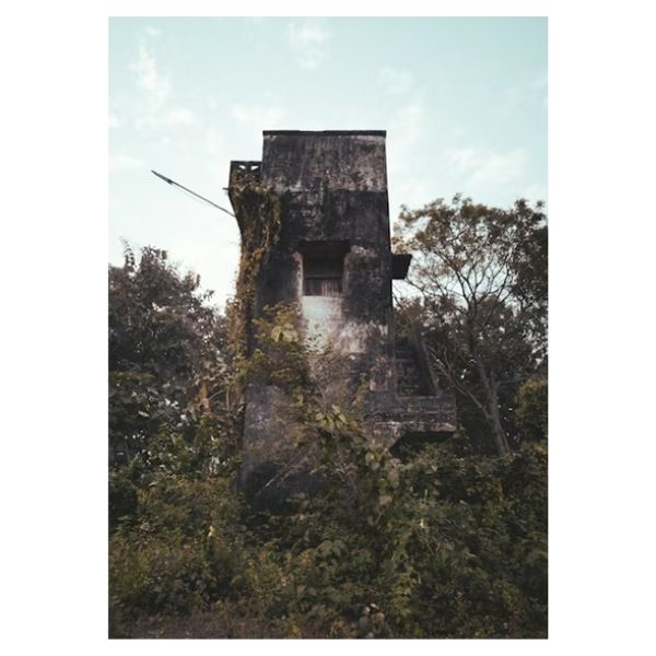 Abandoned Forest Tower - A1 Poster
