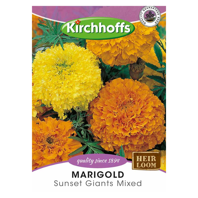 Kirchhoffs Marigold Crackerjack Mixed Seeds | Shop Today. Get It ...