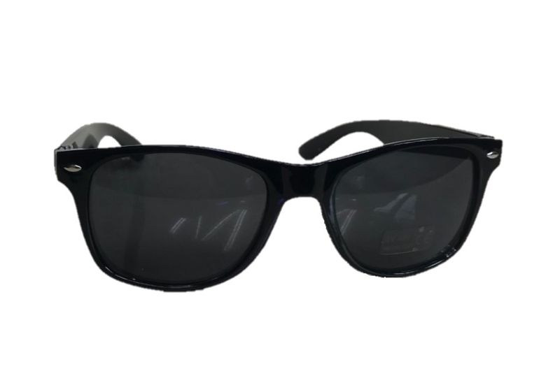Classic Black Wayfarer Sunglasses