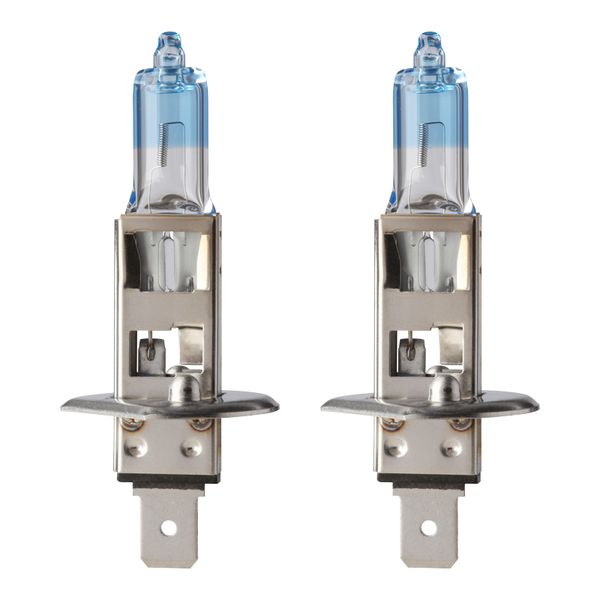 Flosser H1 Globe Kit, 12 V, 55 w, P14