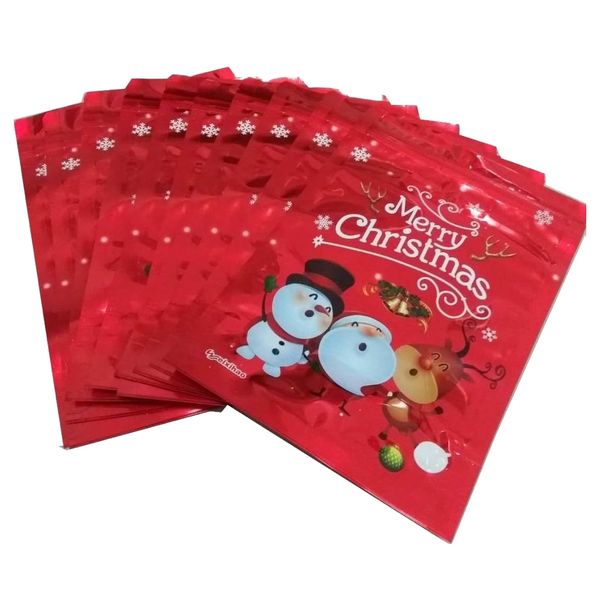 Craft Zip Lock Gift Bags Christmas 24cm Set of 10