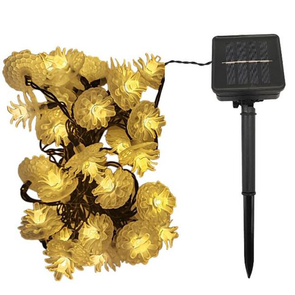 String Of Roses Solar Lights 30LED 5m