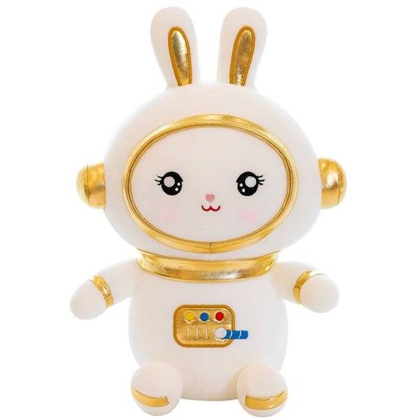 Space Teddy Animal Plush Toy