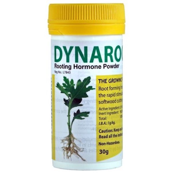 Dynaroot 1 - Rooting Hormone Powder - 30g