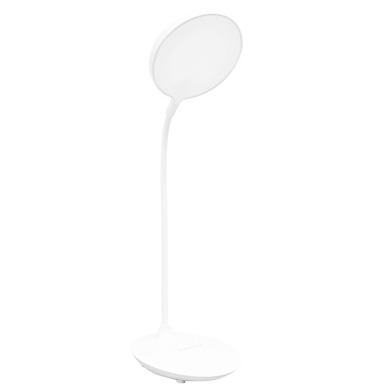 LED Reading/Book Light with Flexible Gooseneck