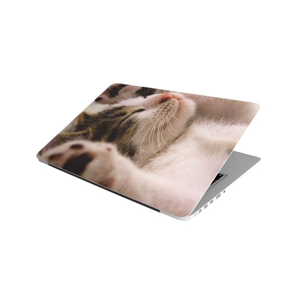 Laptop Skin/Sticker - Sleepy Kitten