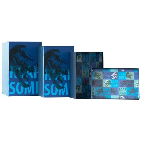 3 Nested Boxes Roarsome