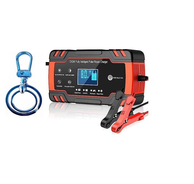 Smart Intelligent Battery Impulse Charger
