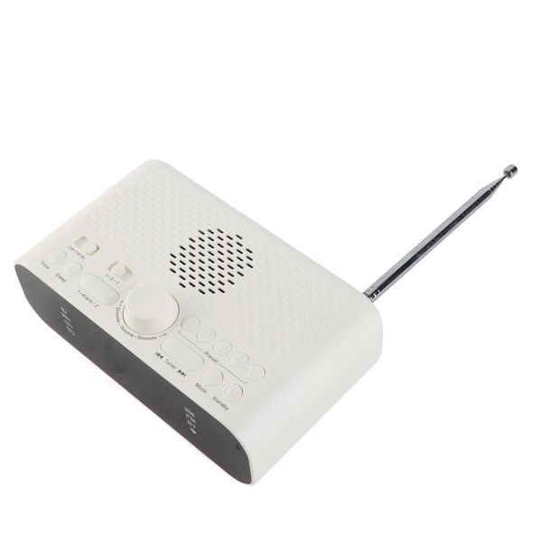 Alarm Clock Radio, BT Speaker, Dual Alarm