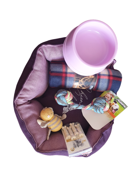 Puppy Starter Kit Navy Blue - Small Breed